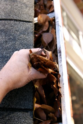 Gutter cleaning by Picture Perfect Handyman